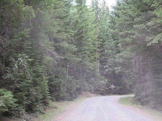 Lower NF75 - 170