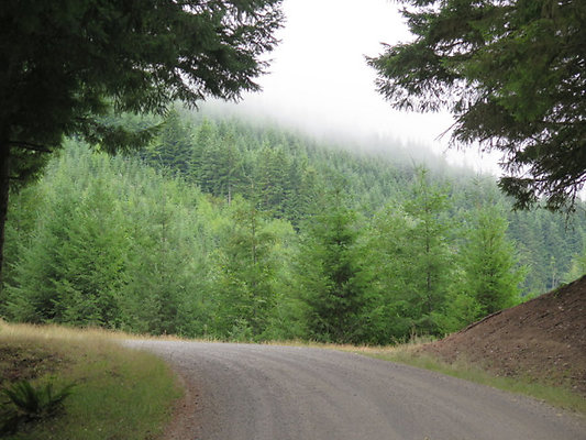 Lower NF75 - 72