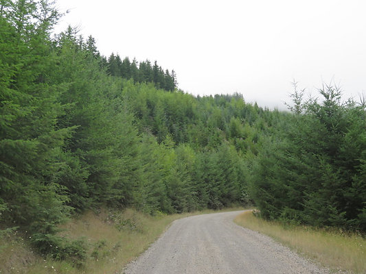Lower NF75 - 102
