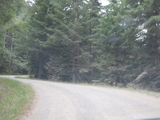 Lower NF75 - 162