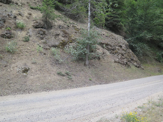 Lower NF75 - 143