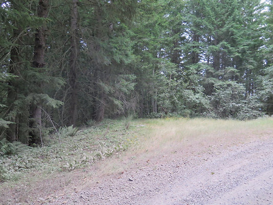 Lower NF75 - 87
