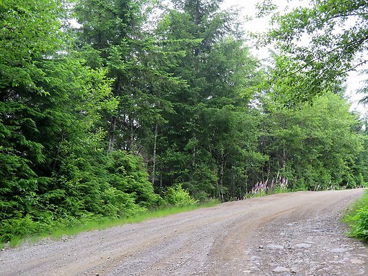 BakerLake roads - 11