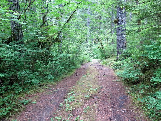 BakerLake roads - 27