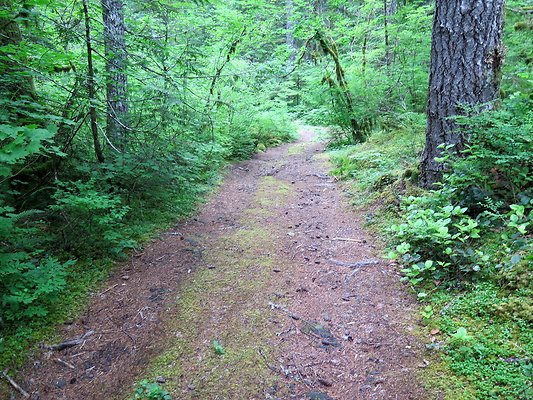 BakerLake roads - 29