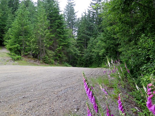 BakerLake roads - 13