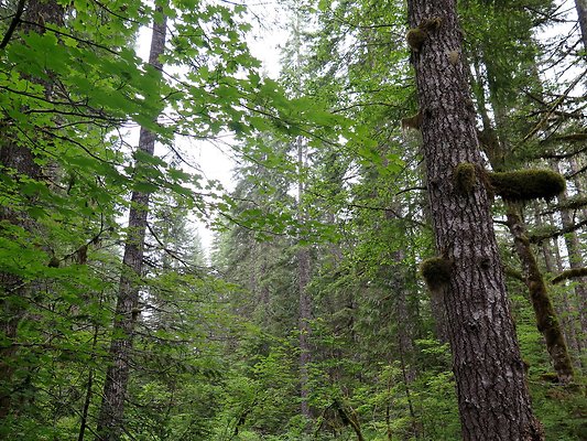 BakerLake roads - 31