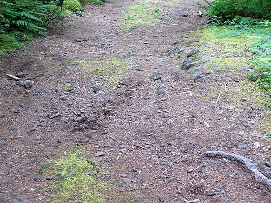 BakerLake roads - 33