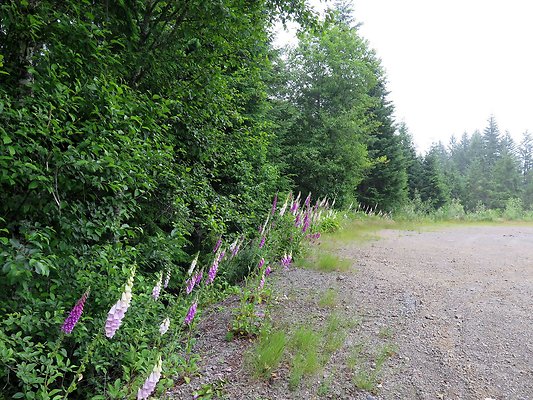 BakerLake roads - 16