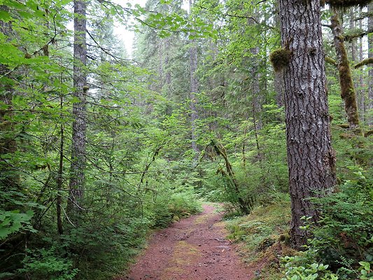 BakerLake roads - 30
