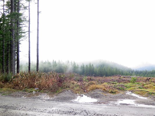 NorthFork road - 33