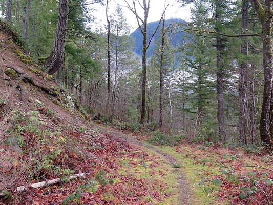 NorthFork road - 75