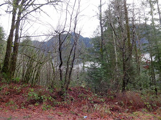 NorthFork road - 88