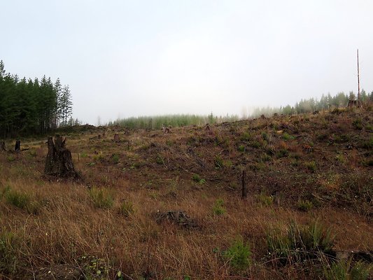 NorthFork road - 10
