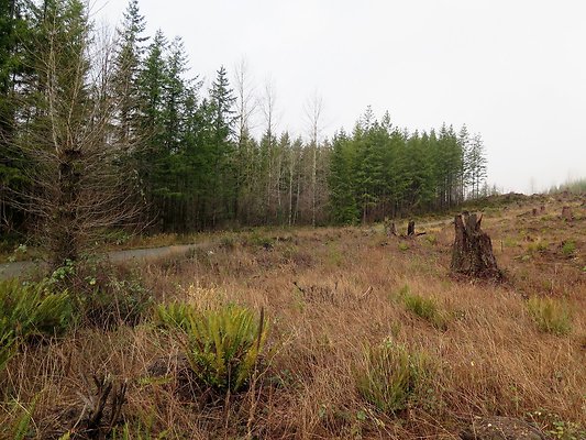 NorthFork road - 9
