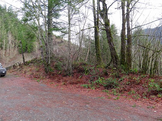 NorthFork road - 87