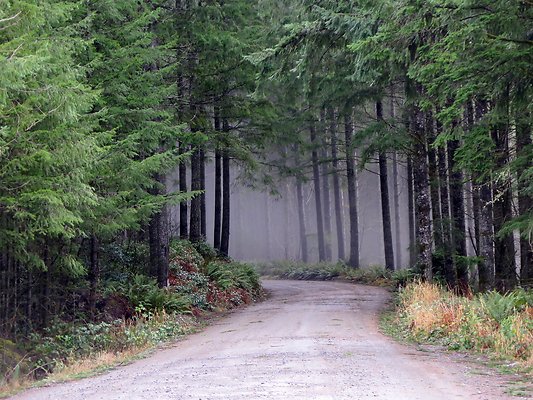 NorthFork road - 27