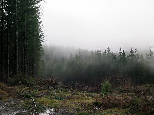 NorthFork road - 31