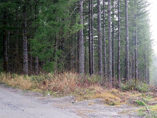NorthFork road - 30