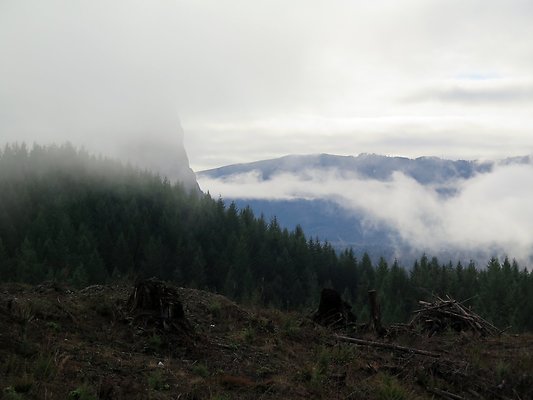 NorthFork road - 14
