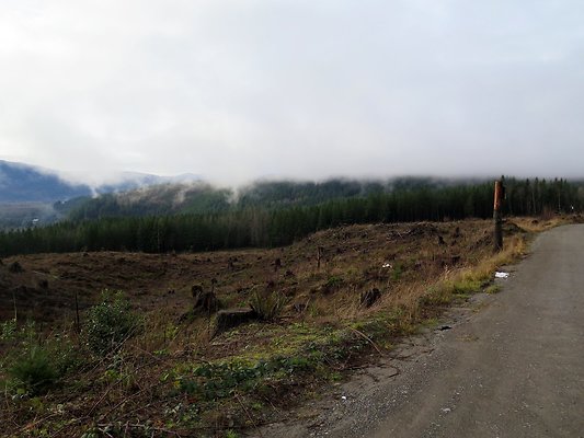 NorthFork road - 45