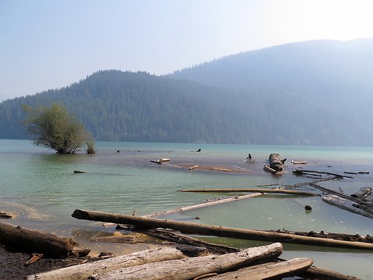 NF 1136 forest road lake - 29