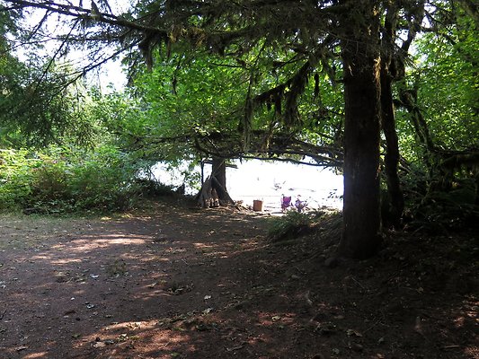 NF 1136 forest road lake - 16