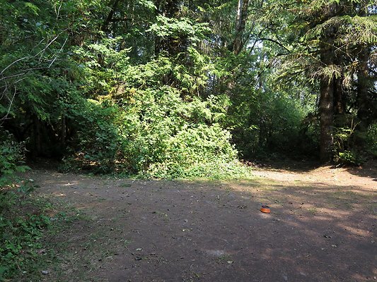 NF 1136 forest road lake - 18