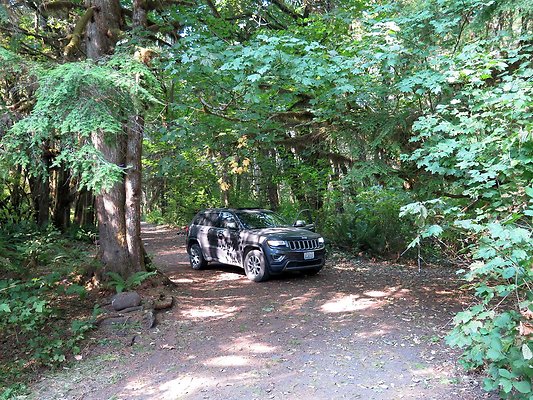 NF 1136 forest road lake - 45