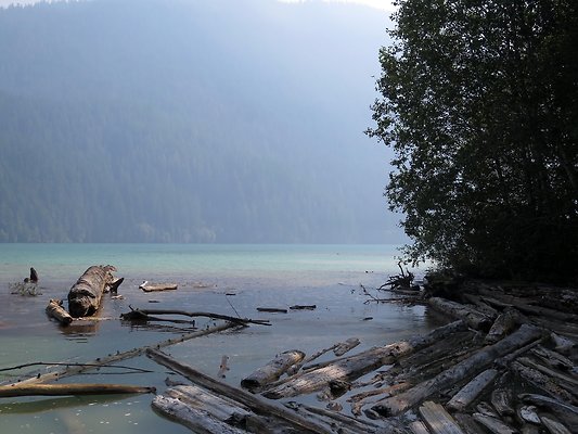 NF 1136 forest road lake - 37