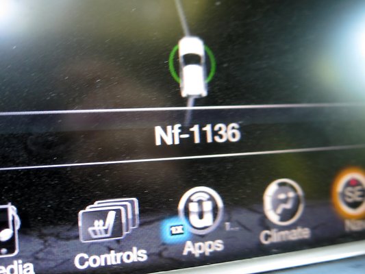 NF 1136 forest road lake - 6