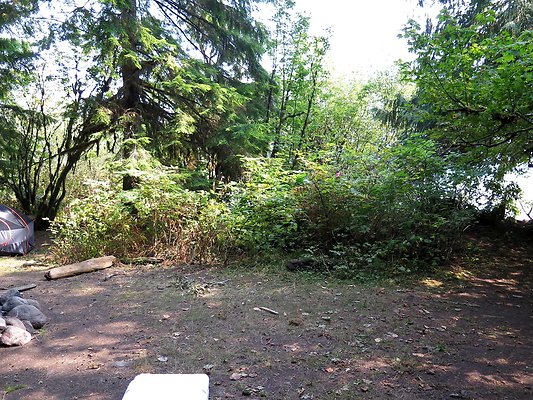 NF 1136 forest road lake - 20