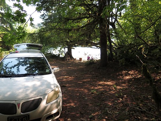 NF 1136 forest road lake - 15