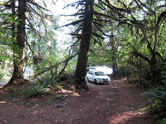 NF 1136 forest road lake - 13