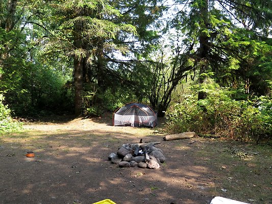 NF 1136 forest road lake - 19