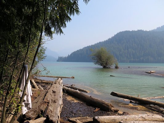 NF 1136 forest road lake - 28