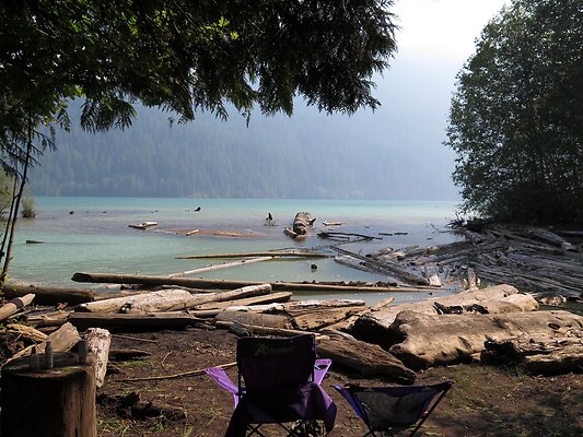 NF 1136 forest road lake - 25