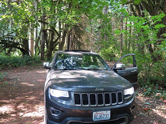 NF 1136 forest road lake - 49