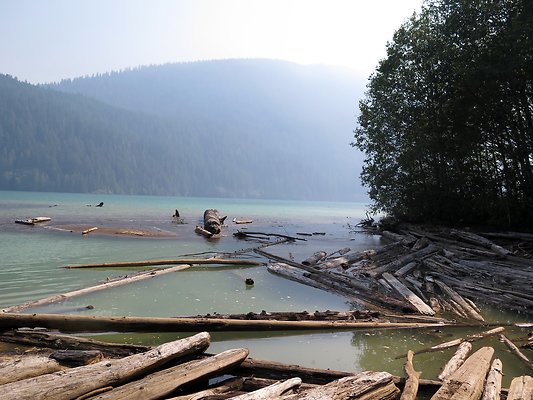NF 1136 forest road lake - 30