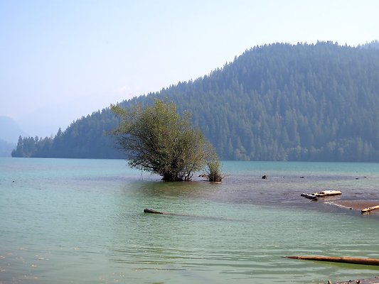 NF 1136 forest road lake - 35