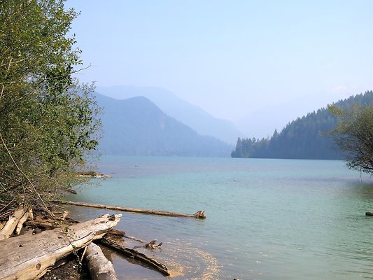 NF 1136 forest road lake - 34