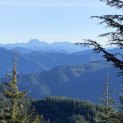 NF 75 narrow Crystal Mt Area