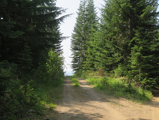 NF75 narrow - 82