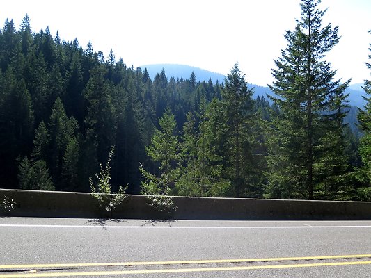 MtBaker highway excelsior - 26