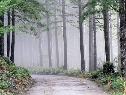 NorthFork road - 35