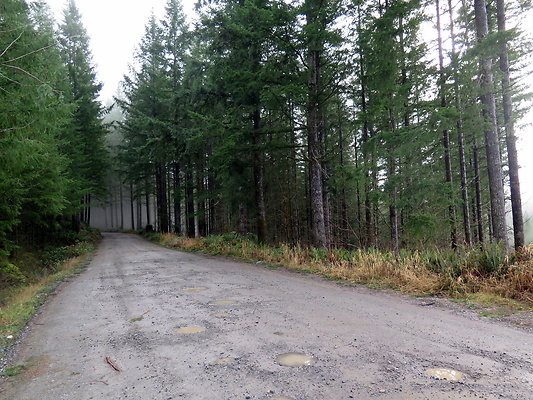 NorthFork road - 32