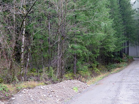 NorthFork road - 28