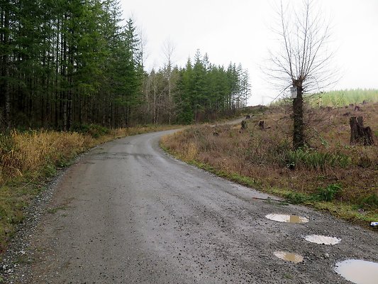 North Fork Road USFS Northbend