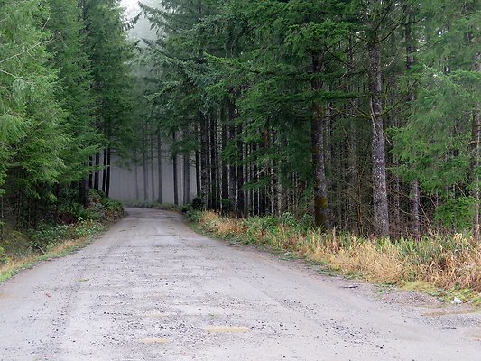 NorthFork road - 29