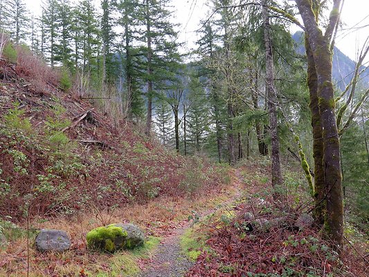 NorthFork road - 74